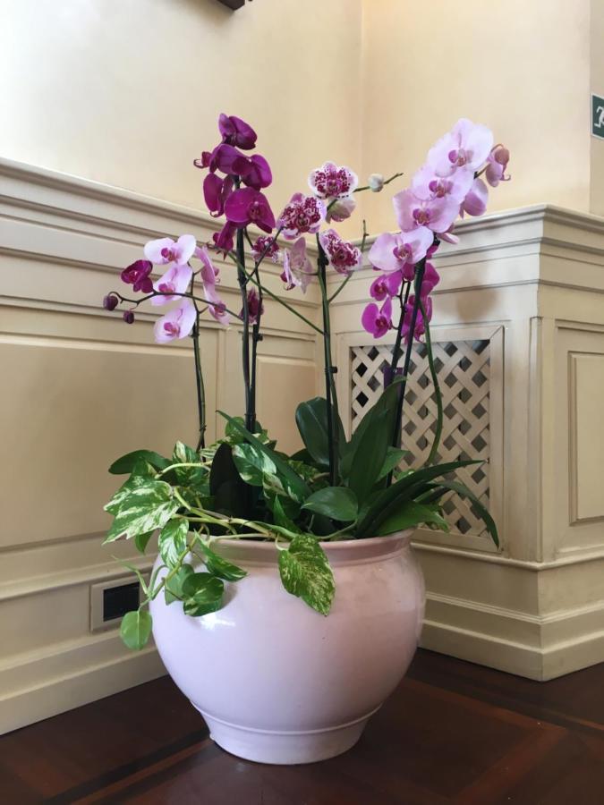 רומא B&B Villino Margherita מראה חיצוני תמונה